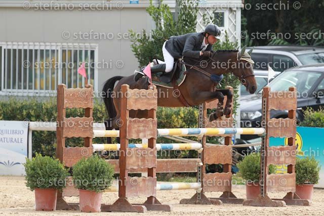 PIANTONI_NIA BELLA_GIO CAV 2011_SS3_8642.jpg